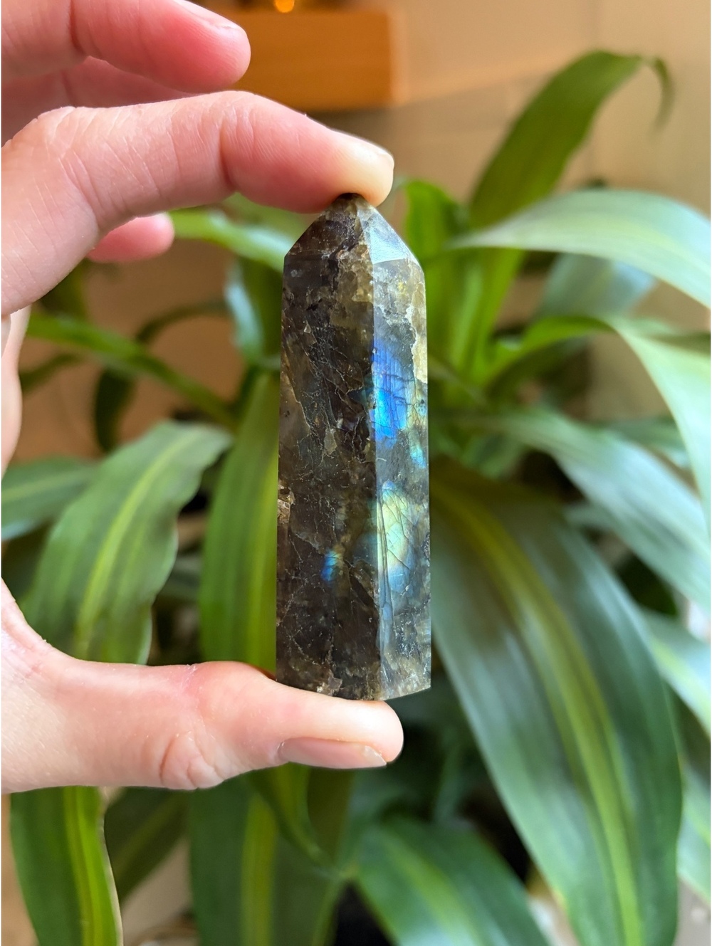 Polished Labradorite Point Generator – Blue & Gold Flash Crystal